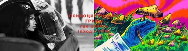 метамфетамин Богданович