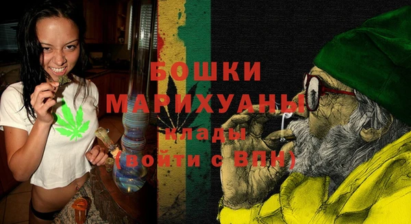 шишки Богородск