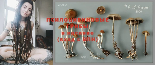 шишки Богородск