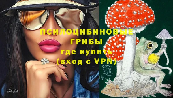 метамфетамин Богданович