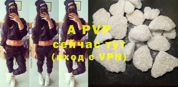 шишки Богородск